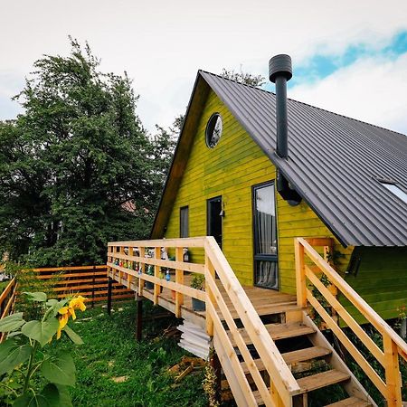 Wooden Cottage "Green House" In Bakuriani Εξωτερικό φωτογραφία