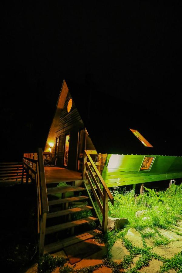 Wooden Cottage "Green House" In Bakuriani Εξωτερικό φωτογραφία