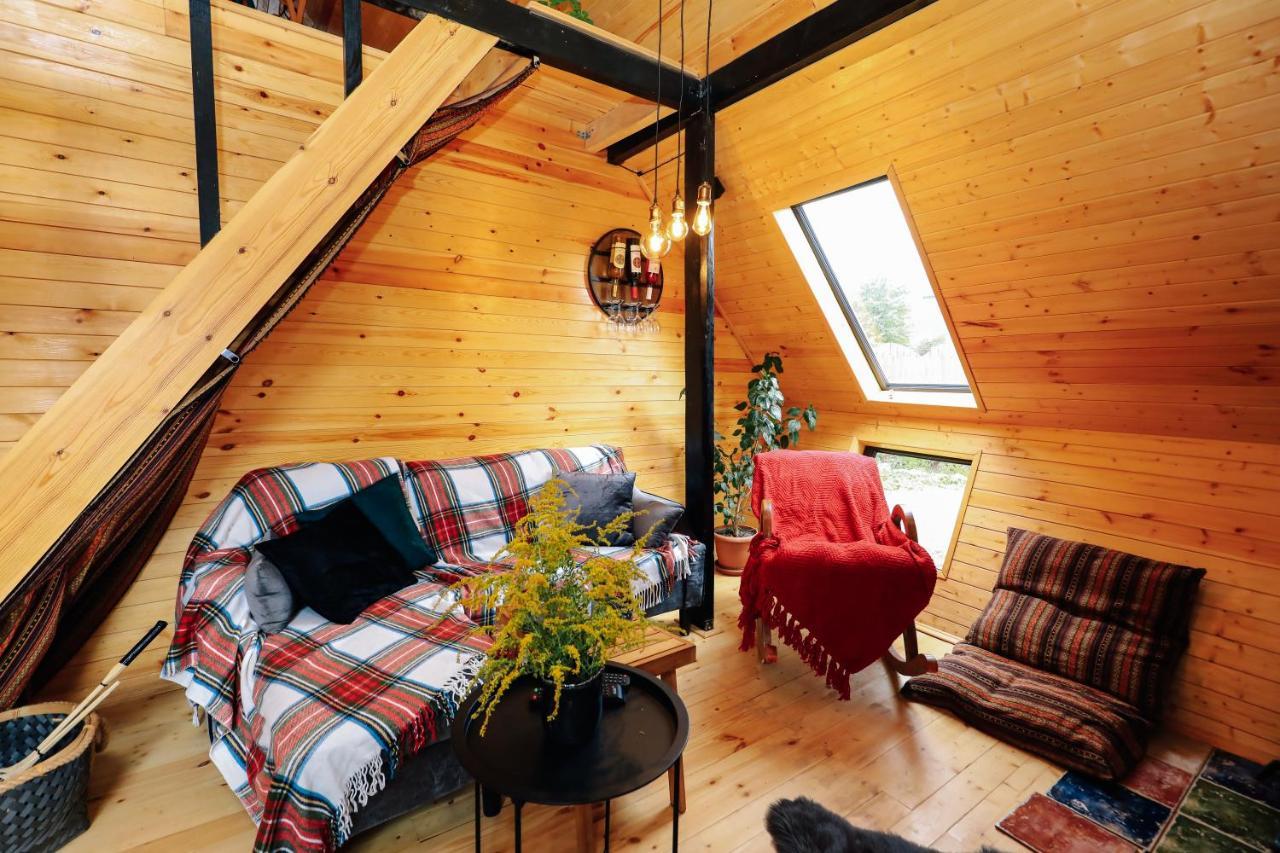 Wooden Cottage "Green House" In Bakuriani Εξωτερικό φωτογραφία